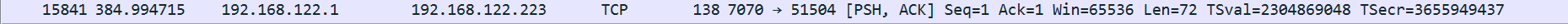 The 72-byte TCP packet